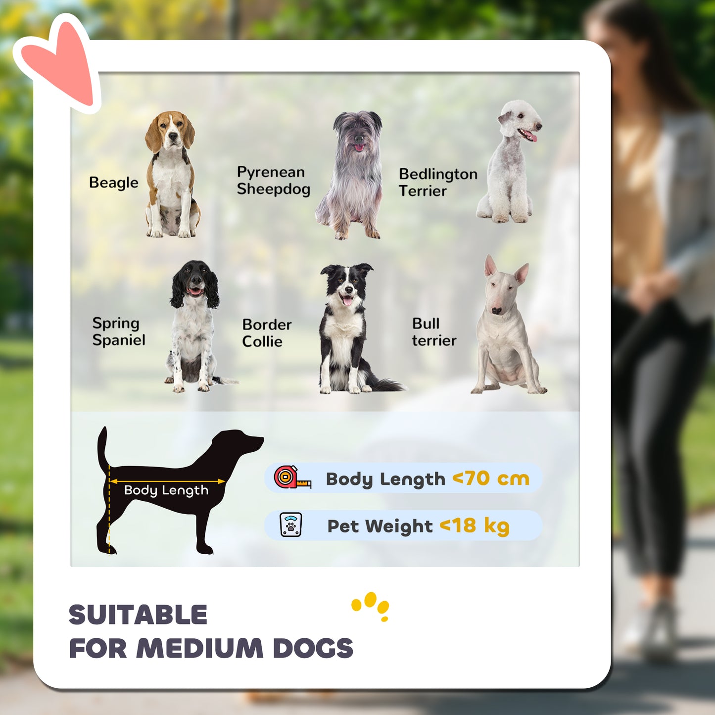 Dog Stroller Pet Pushchair Buggy Pram W/ 4 Wheels Safety Leash, Grey