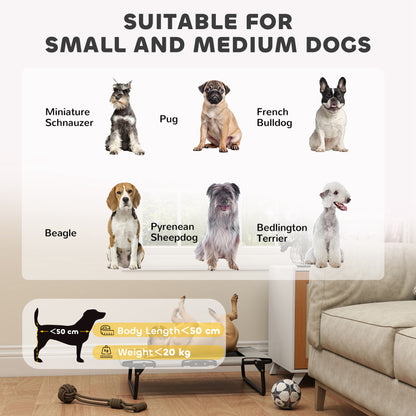 Raised Dog Bed with Breathable Mesh for S & M Dogs, Light Grey