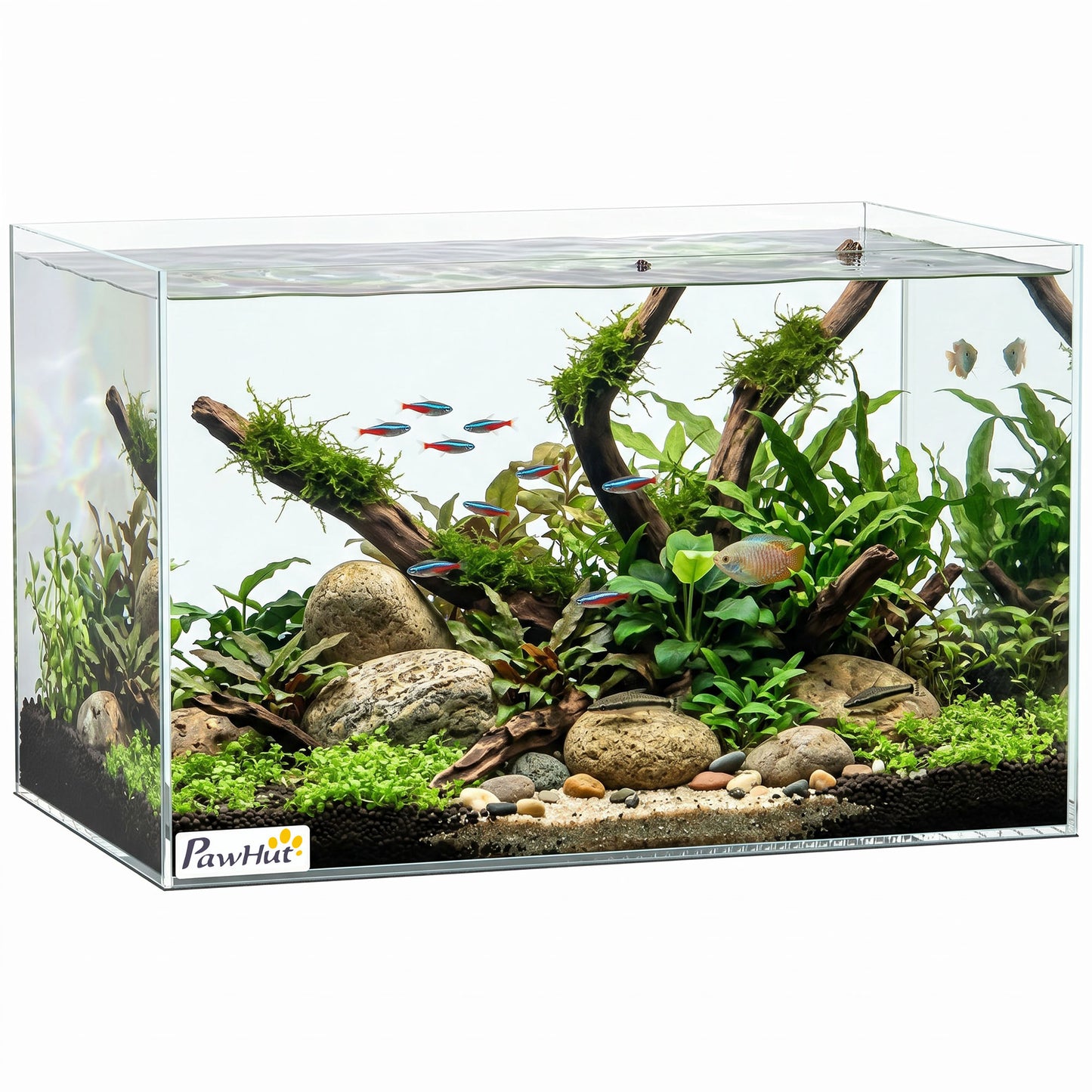 24L Fish Tank, Glass Aquarium, Small Fish Tank with Protective Base Mat, for Shrimps, Turtles, Transparent, 40 x 25 x 25 cm