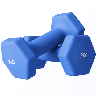 Set of 2 Hexagonal Dumbbells Weights Pair, 2 x 2kg, Blue