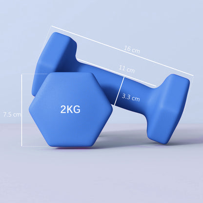Set of 2 Hexagonal Dumbbells Weights Pair, 2 x 2kg, Blue