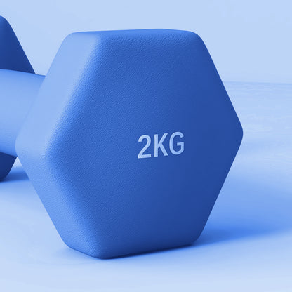 Set of 2 Hexagonal Dumbbells Weights Pair, 2 x 2kg, Blue