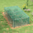 8' x 4' Plant Protection Tent Crop Cage with Door, Green