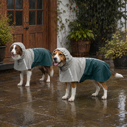 Dog Raincoat with Hood, Dog Rain Jacket, for Medium Dogs, M