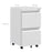 2-Drawer Mobile Filing Cabinet on Wheels, Steel Lockable File Cabinet with Adjustable Hanging Bar for Letter, A4 and Legal Size, White