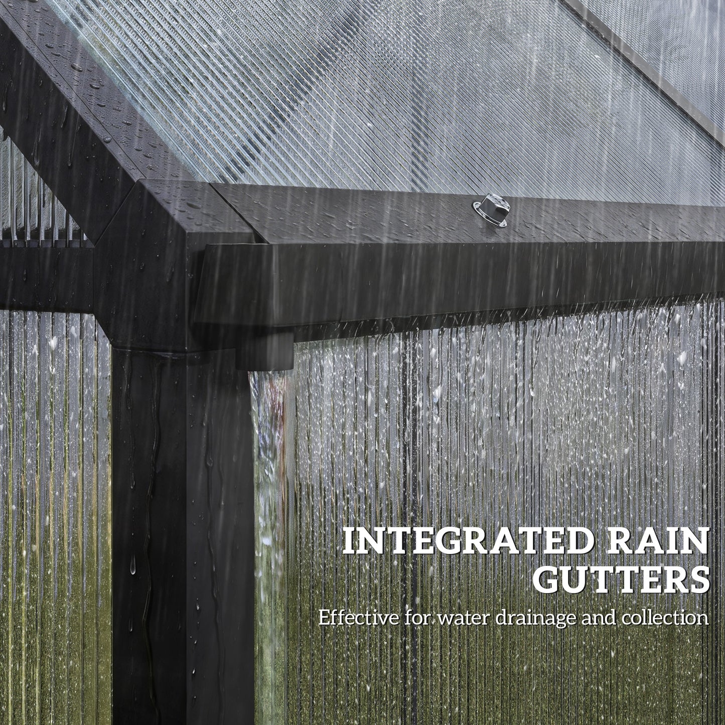 Polycarbonate Greenhouse Garden Green House with Rain Gutter, Black