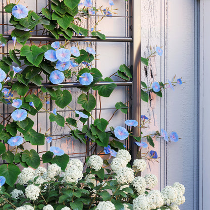 Metal Raised Garden Bed Planter Box with Trellis, 90 x 40 x 120 cm