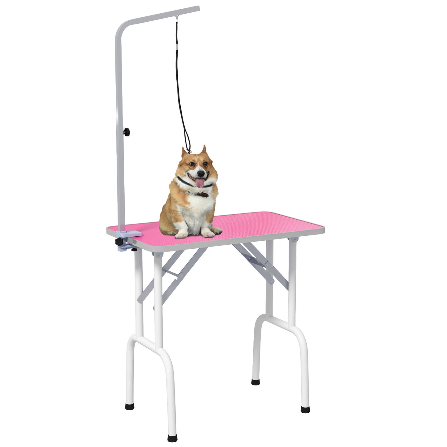 PawHut Foldable Dog Grooming Table Adjustable Arm 81x49x80 cm