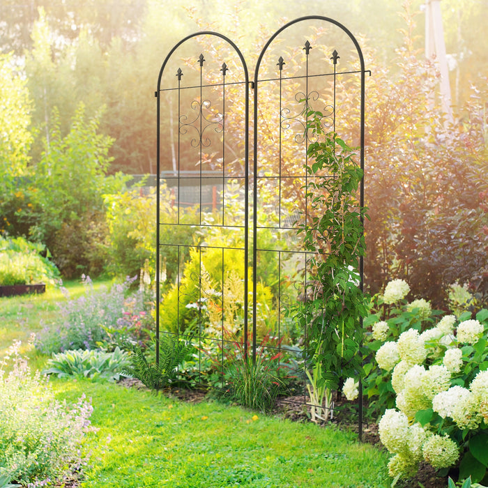 Metal Trellis Set of 2, Garden Trellis for Climbing Plants Support Frames, Arrow Design