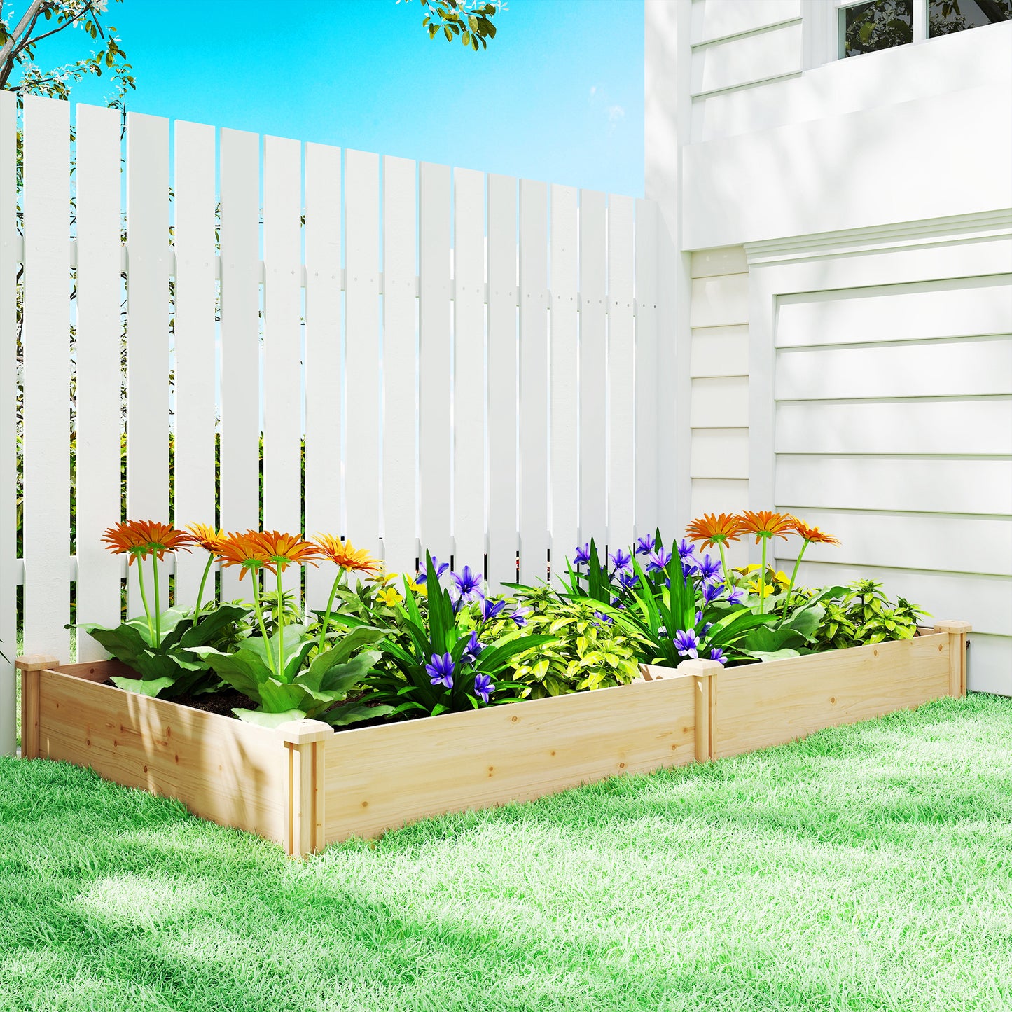 Raised Garden Bed, Wooden Planter Box with Divider and Open Bottom