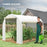 Polytunnel Greenhouse with PE Cover, Galvanised Steel Frame, White