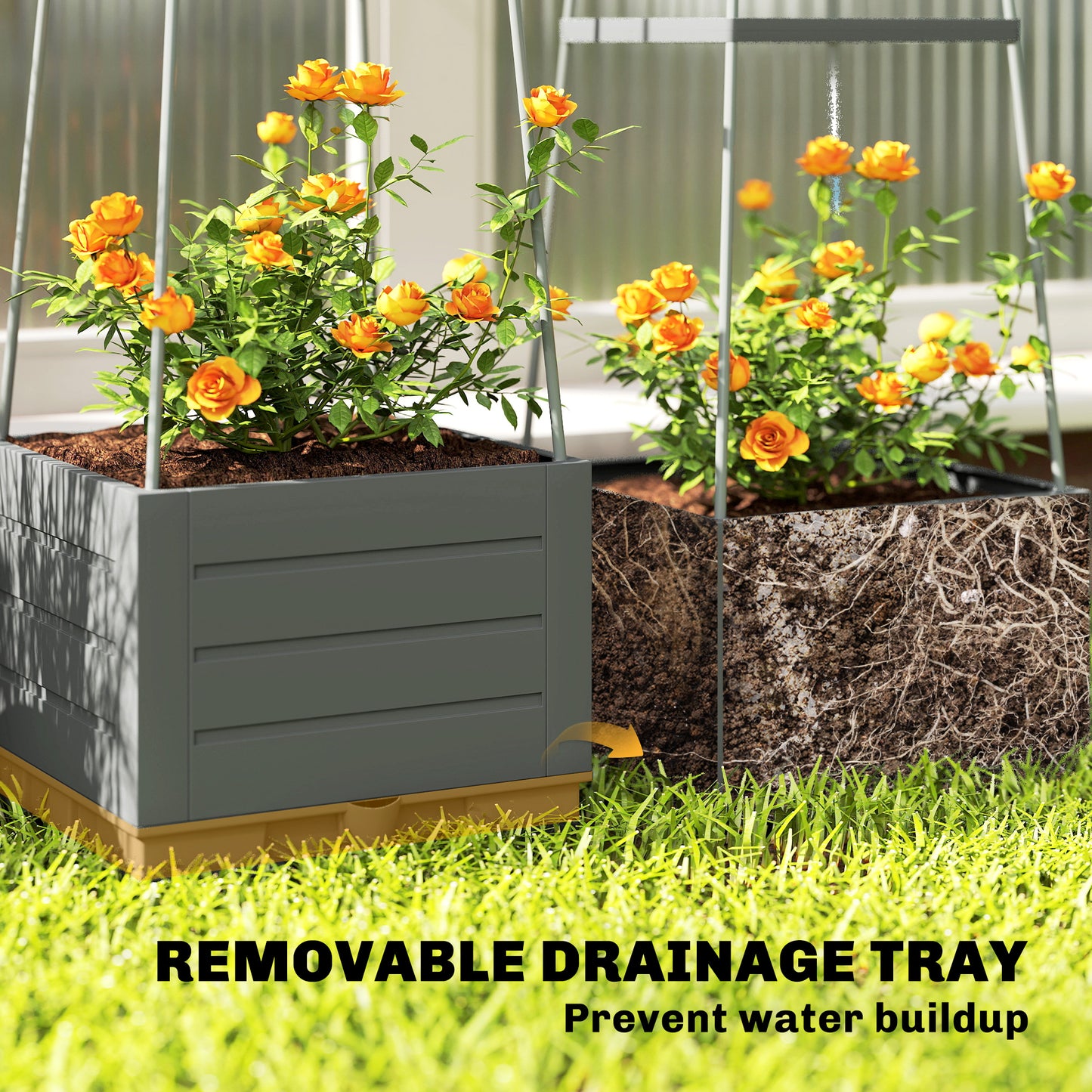 2 Pack Raised Garden Bed with Trellis and Removable Drainage Tray