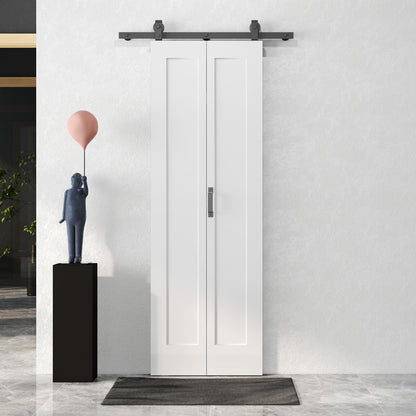 70cm Modern Sliding Door Set Kit with Carbon Steel Rail, Opaque Home Decoration, DIY Office Style, White