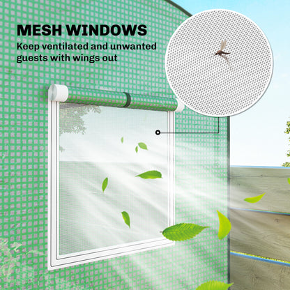 Mini Greenhouse, Portable Indoor Outdoor Green House with PE Cover