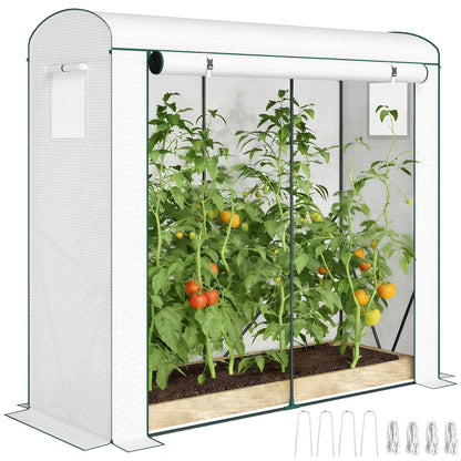 Mini Greenhouse, Portable Indoor Outdoor Green House with PE Cover