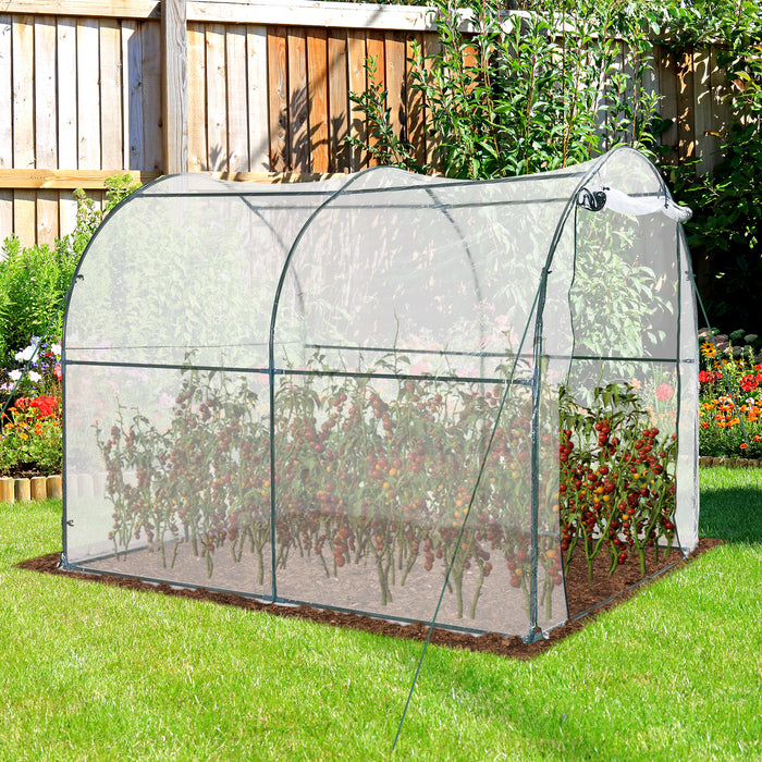 Walk-in Polytunnel Greenhouse with Roll-up Door Transparent Tunnel Greenhouse with Steel Frame and PVC Cover, 2.5 x 2m