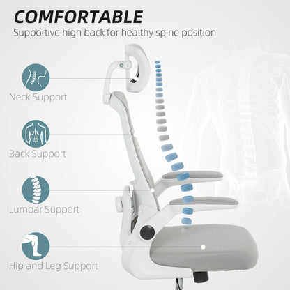 Executive Mesh Office Chair with Headrest, Lumbar Support, Grey