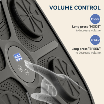 Music Boxing Machine, Smart Bluetooth Boxing Machine Wall Mounted with 9 Speeds & Modes, LED Lights and Gloves, Punching Pad for Adults, Black