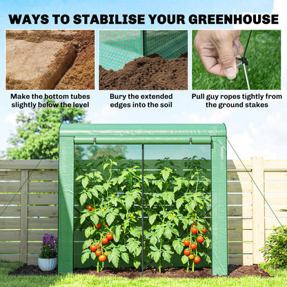 Mini Greenhouse, Portable Indoor Outdoor Green House with PE Cover