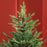 5 Foot Artificial Christmas Tree with Realistic Hinged Branches, Green