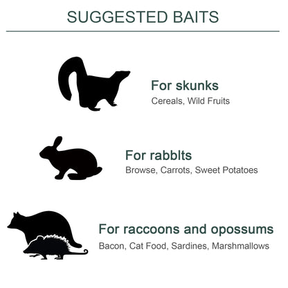 2-Door Humane Live Trap for Small Animals, Animal Trap for Rat Mise Mink Rabbit Raccoon Gopher Squirrel, Green