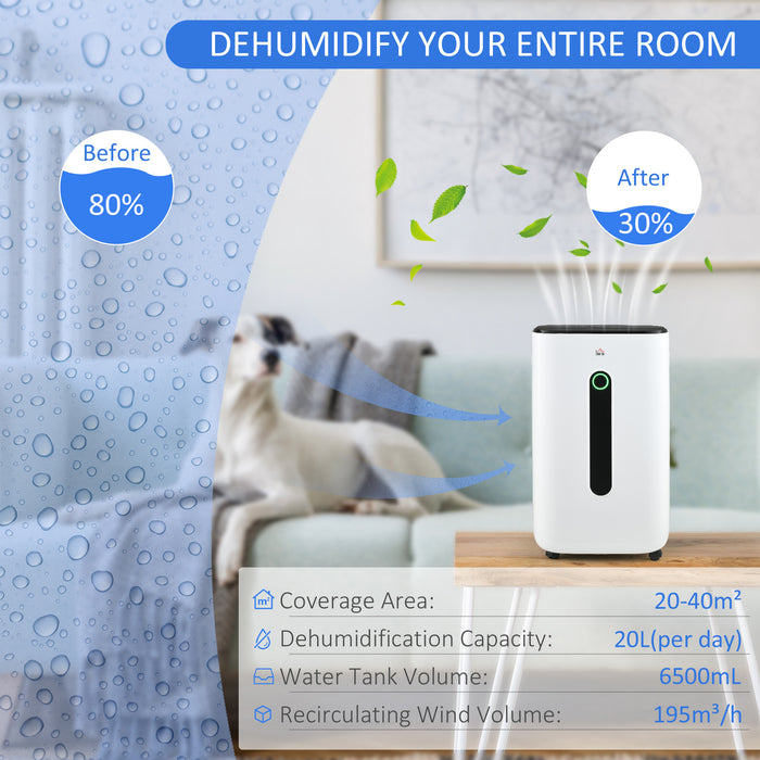 20L/Day Quiet Air Dehumidifier with Purifier, Timer, for Home Laundry