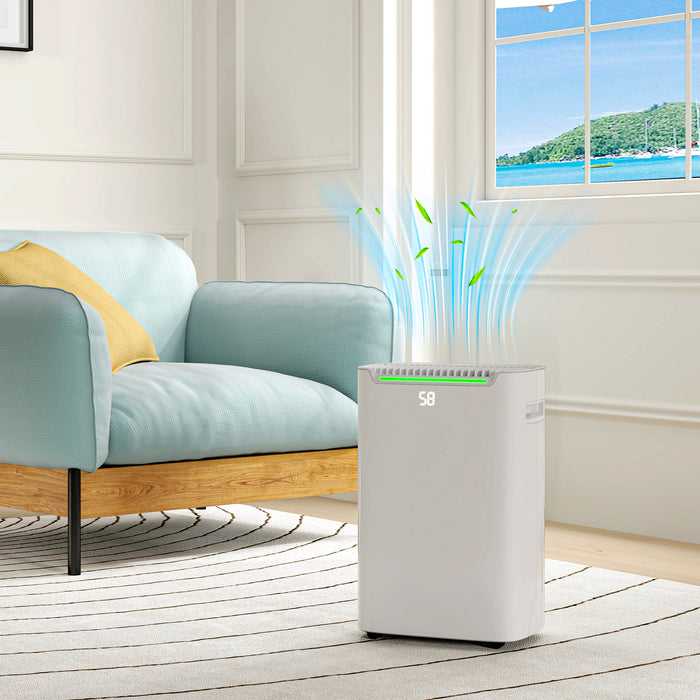 20L/Day Dehumidifier for Home Damp, with 24H Timer, White