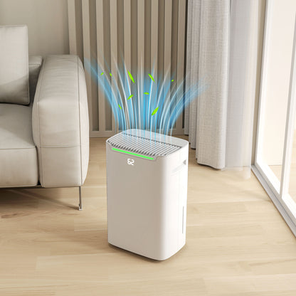 20L/Day Dehumidifier for Home Damp, with 24H Timer, White