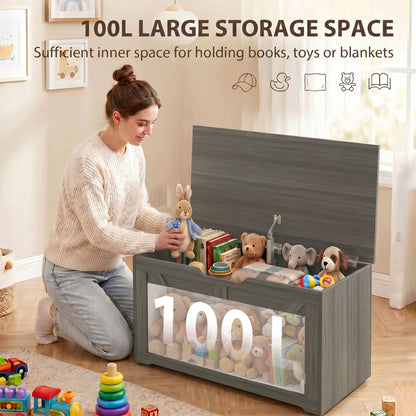Storage Trunk for Living Room, with Safety Hinge, 80cm, Dark Grey