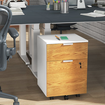 2 Drawer Filing Cabinet with Adjustable Hanging Bars for A4 and Letter