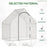 Walk-In Greenhouse Vegetable Plant herb Garden Grow House w/ Window Roll-Up Door Steel Frame All-Year Portable, 180 x 100 x 168cm, White