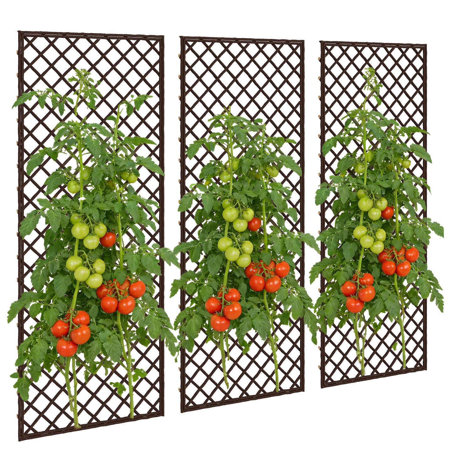 Garden Arch, Wicker Trellis Support Frame with Flat Top, Natural