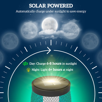 71.5 cm Garden Solar Lamp, Metal Floor Lamp with Auto On/Off LED