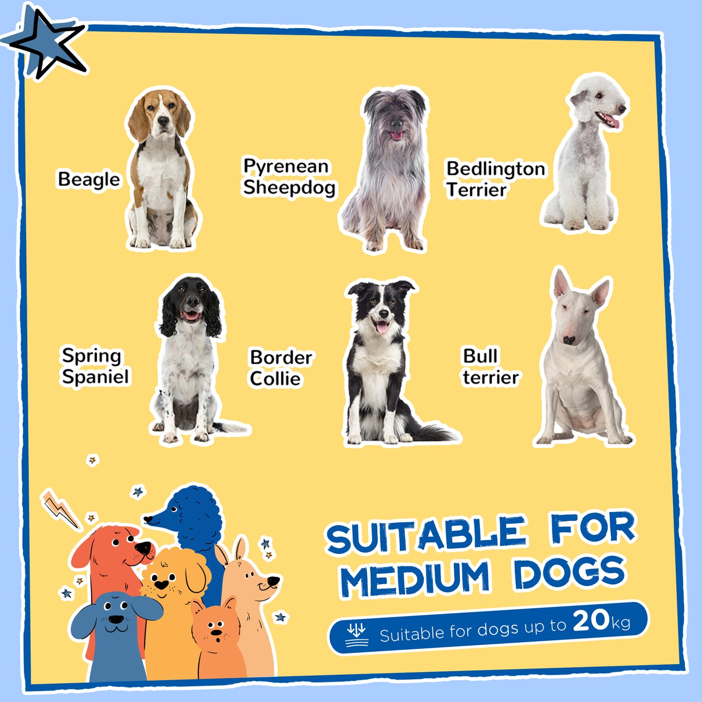 7-Piece Dog Agility Equipment, Obstacle Training Course Kit, Orange