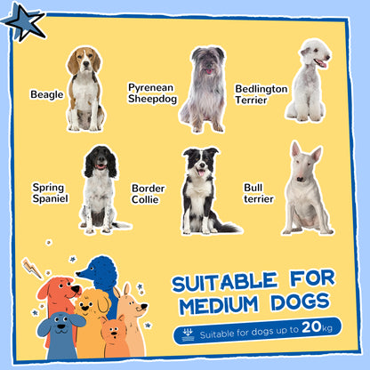 7-Piece Dog Agility Equipment, Obstacle Training Course Kit, Orange