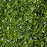 12PCS Artificial Boxwood Wall Panels 50cm x 50cm Grass Privacy Fence Screen Faux Hedge Greenery Backdrop Encrypted Milan Grass