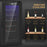 50L Undercounter Wine Cooler Fridge with LED Light Glass Door 18 Bottles