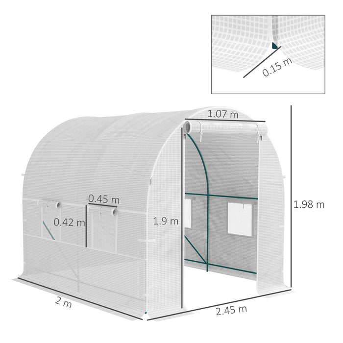 Polytunnel Greenhouse Outdoor Grow House Roll Up Door Windows 2x2.5m