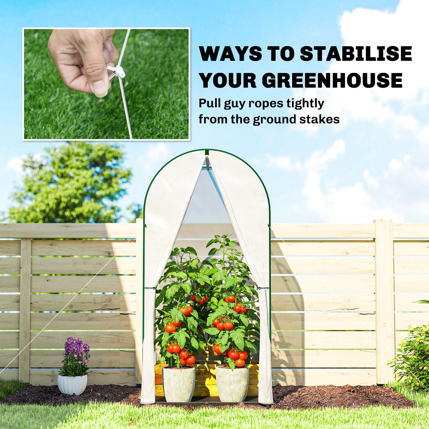 Mini Greenhouse, Small Greenhouse with PE Base, White