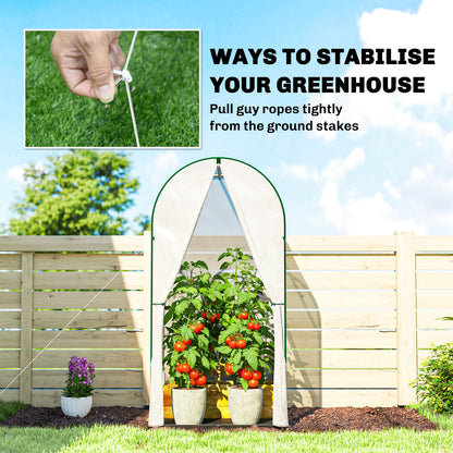 Mini Greenhouse, Small Greenhouse with PE Base, White