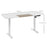 Height Adjustable Electric Standing Desk with 4 Memory Preset White