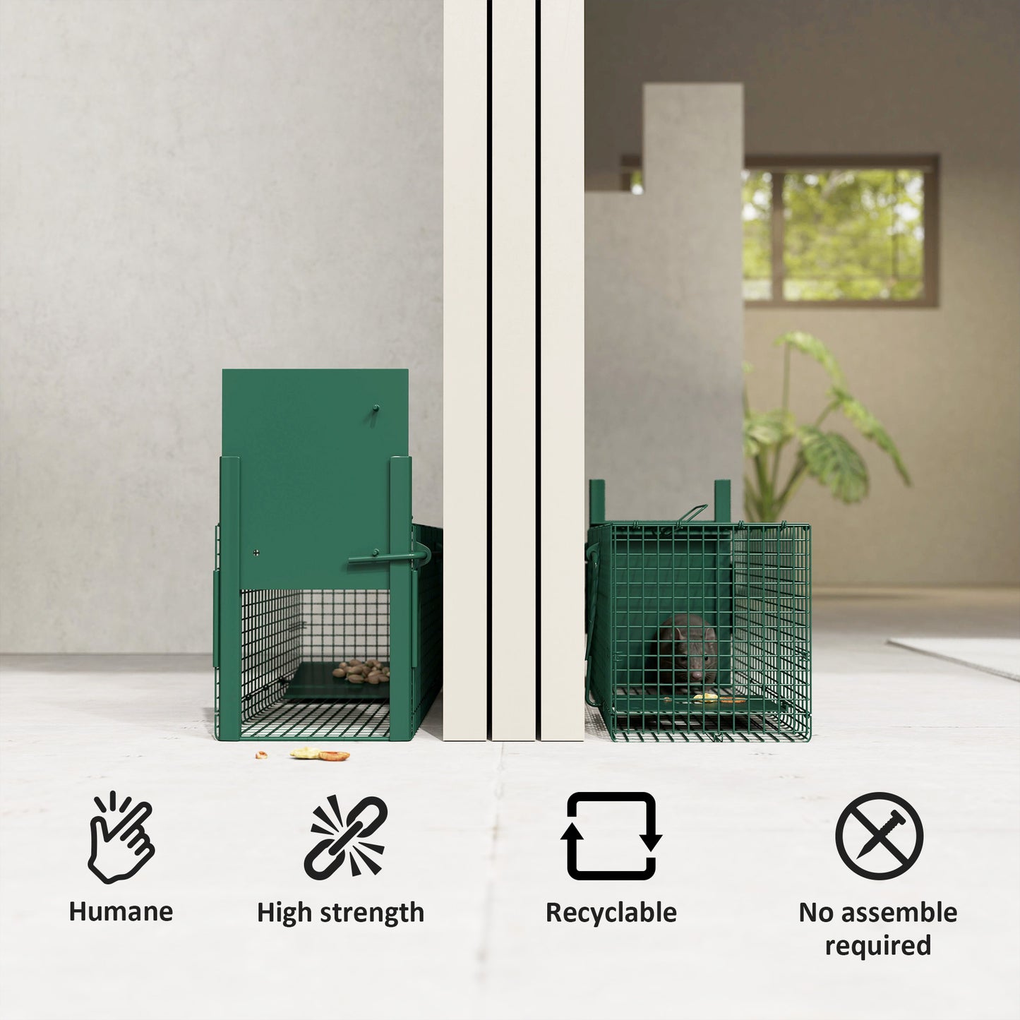 Single Door Rat Trap for Small Animals, Metal Outdoor, Indoor Squirrel Trap for Mice, Rabbits, Cats, 60 X 18 X 20cm, Dark Green