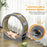 Cat Wheel for Indoor Cats, Cat Treadmill with Brake, Scratching Pads, Cat Exercise Wheel for Health - Grey