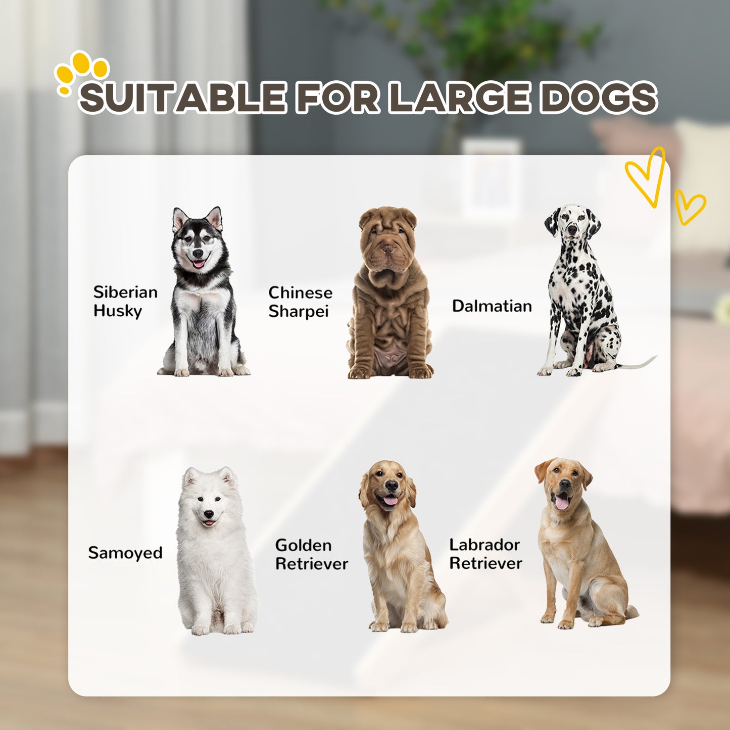 Dog Ramp, Foldable Pet Ramp with 4 Adjustable Heights for Sofa, Bed