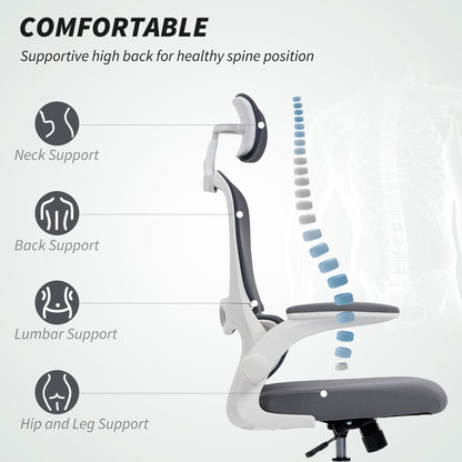 High Back Mesh Computer Desk Chair with Lumbar Support, Charcoal Grey