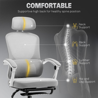 Mesh Ergonomic Office Chair with Lumbar Support, Headrest, Grey