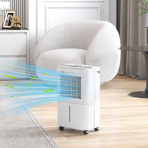 12L/Day Small Dehumidifier for Home Damp, with Humidity Light