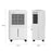 12L/Day Small Dehumidifier for Home Damp, with Humidity Light