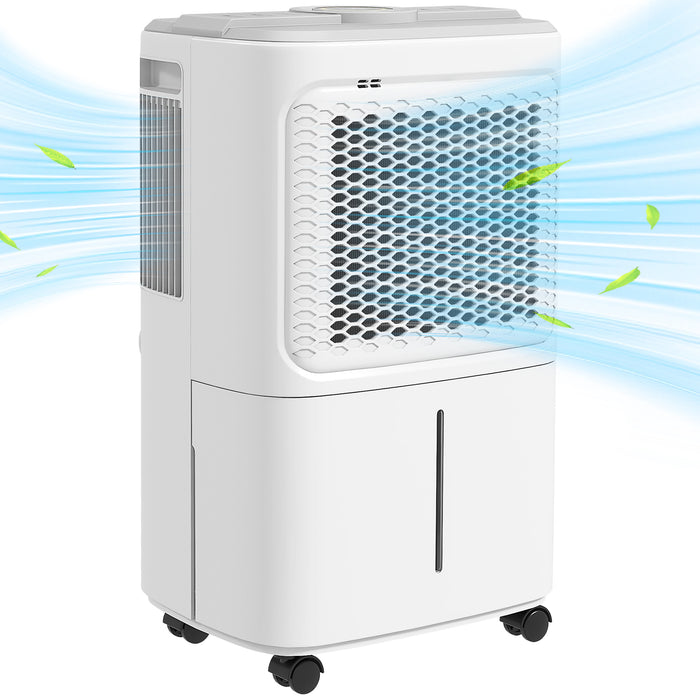 12L/Day Small Dehumidifier for Home Damp, with Humidity Light