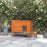 Outdoor Feral Cat House Insulated w/ Openable Roof - Orange